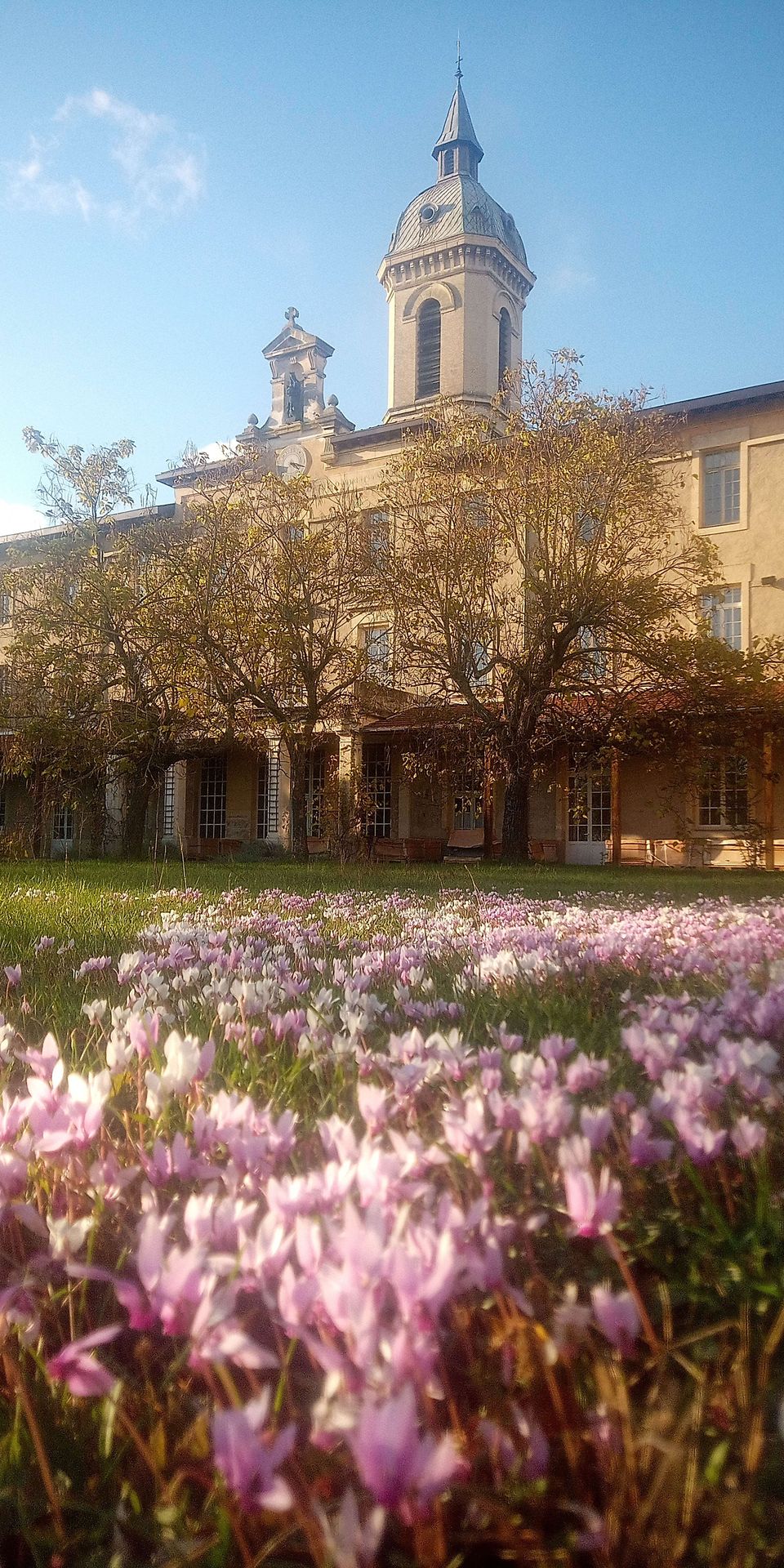 Clocher et fleurs
