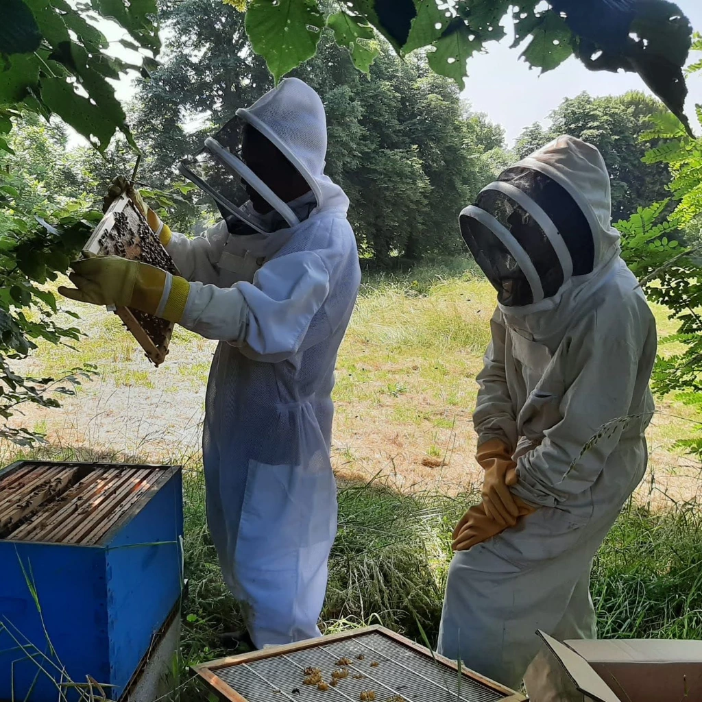 Apiculture